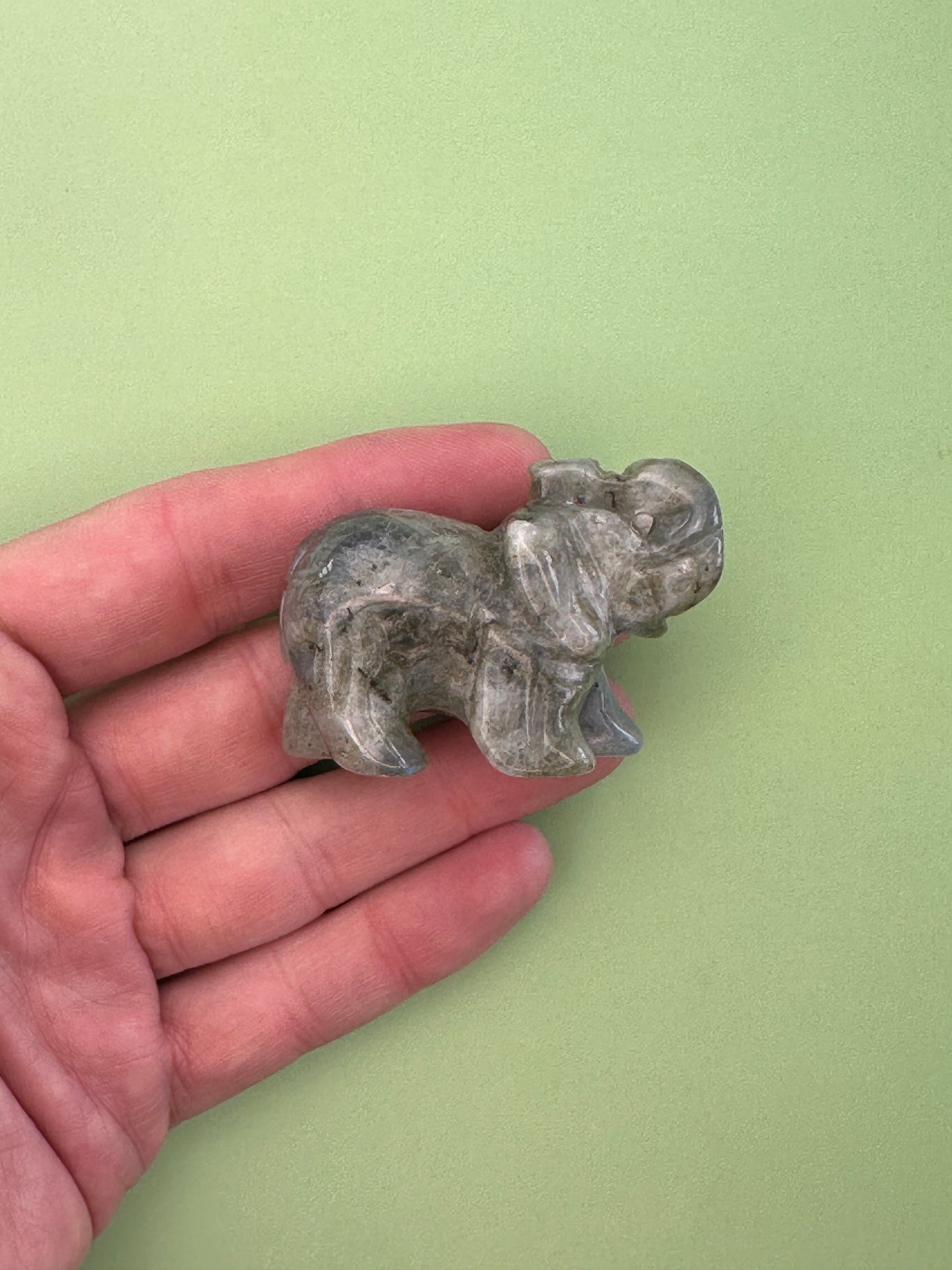 Labradorite - Elephant