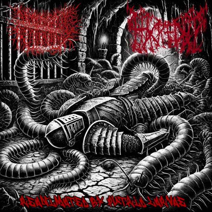 Desecrated Extinction/Hacked Up - Reanimated by Putrid Larvae