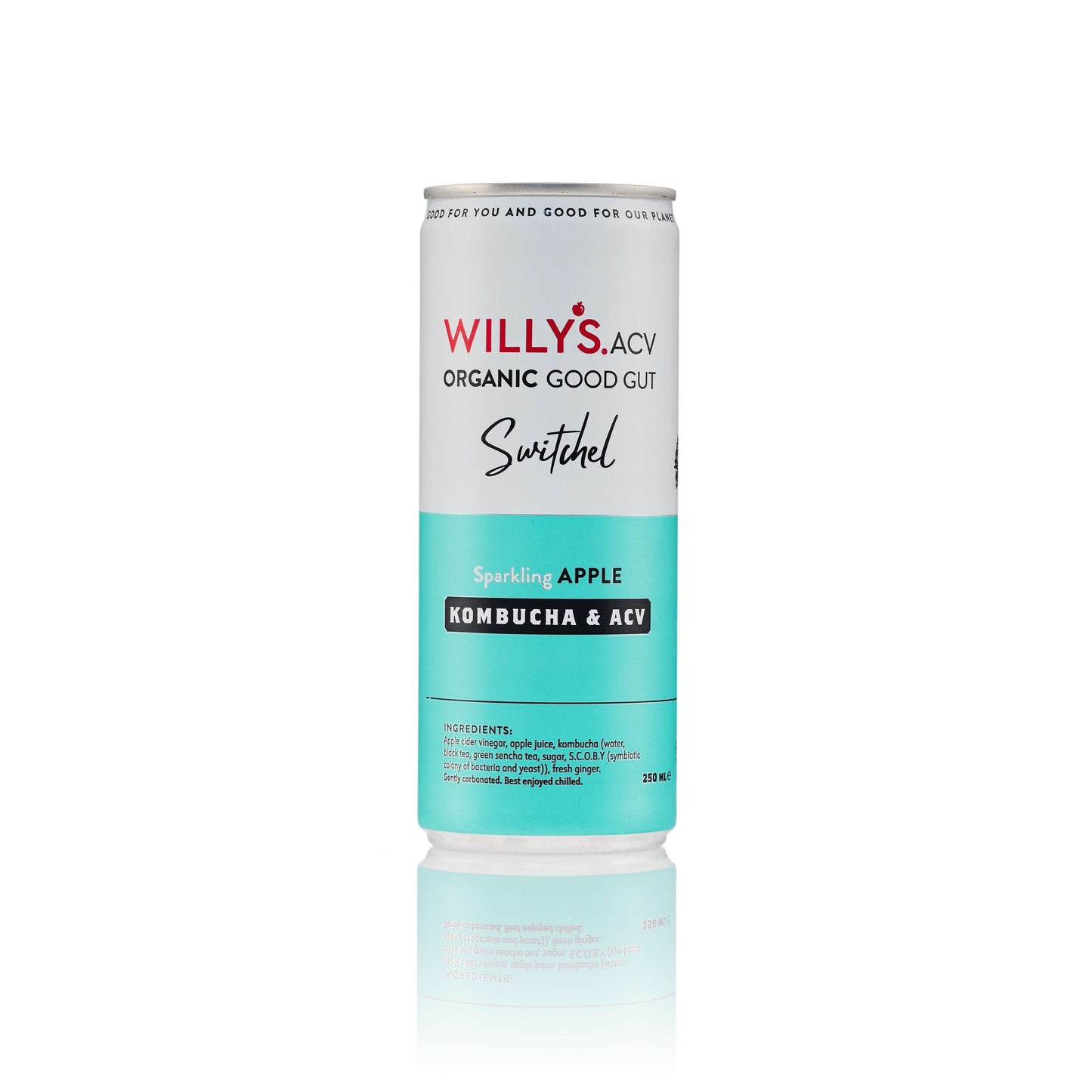 Willy's Organic Apple Switchel - 250ml