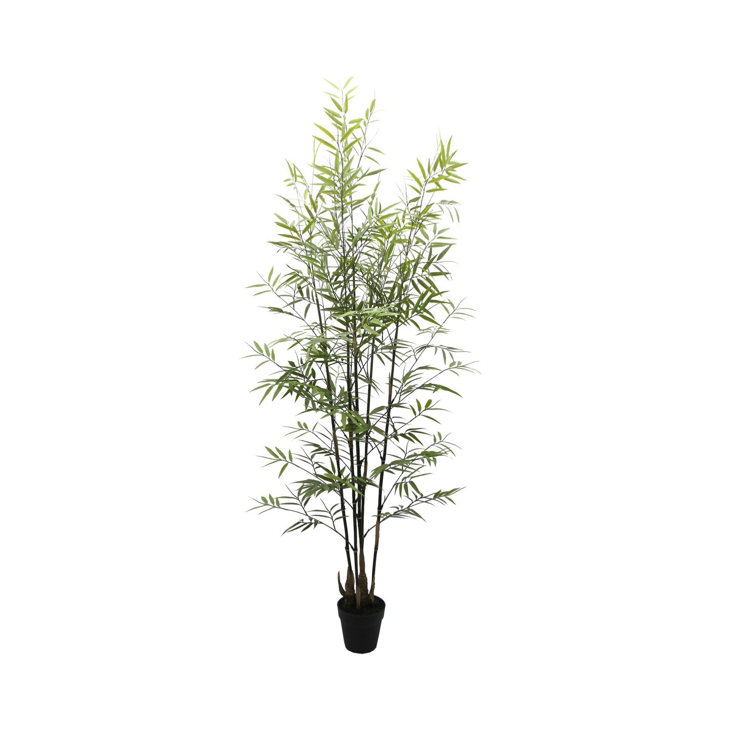 UV Botanica Bamboo Plant (152cm)