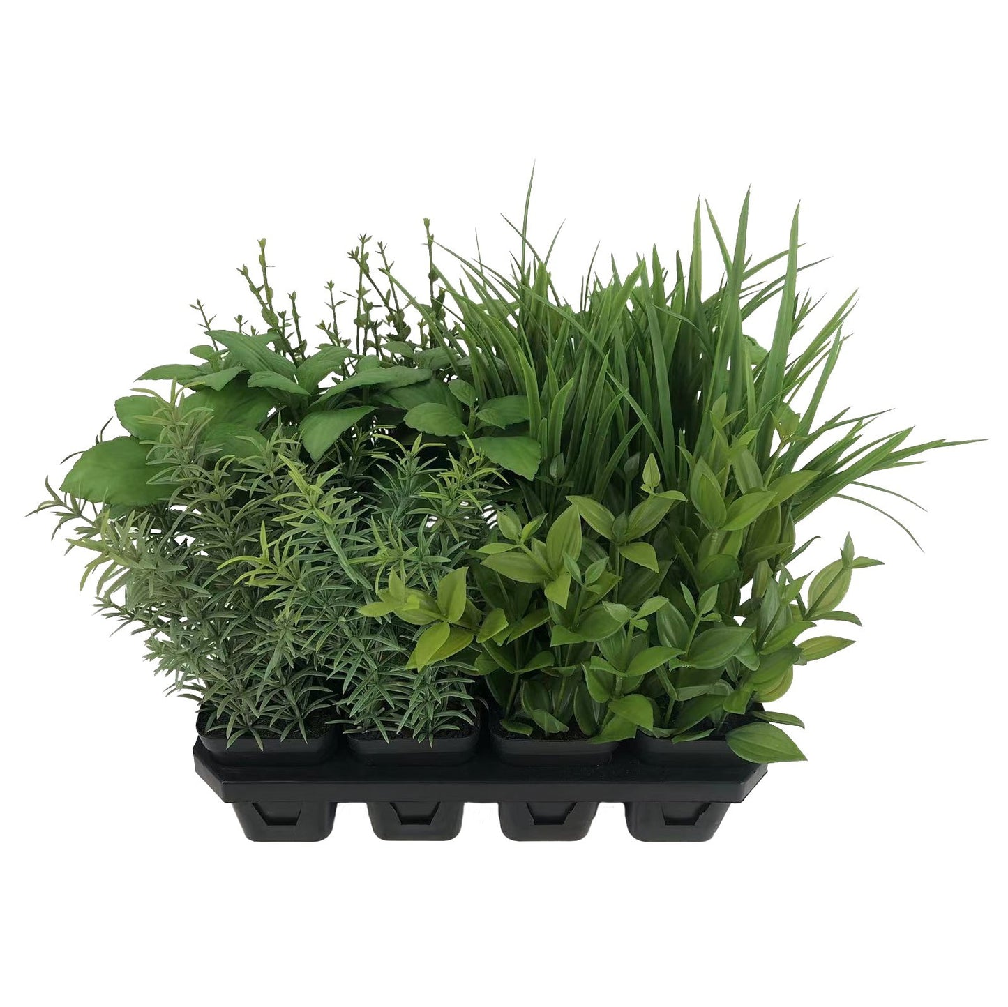 Botanica Tray of 12 Assorted Herbs