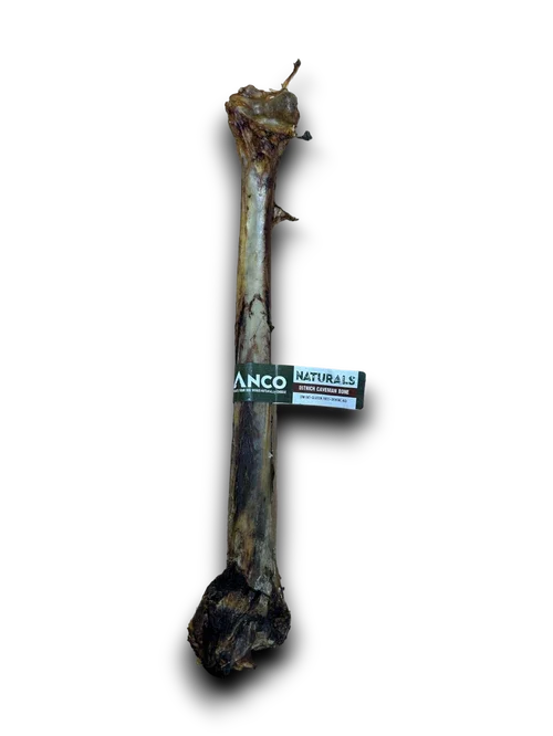 Anco Naturals Ostrich Caveman Bones
