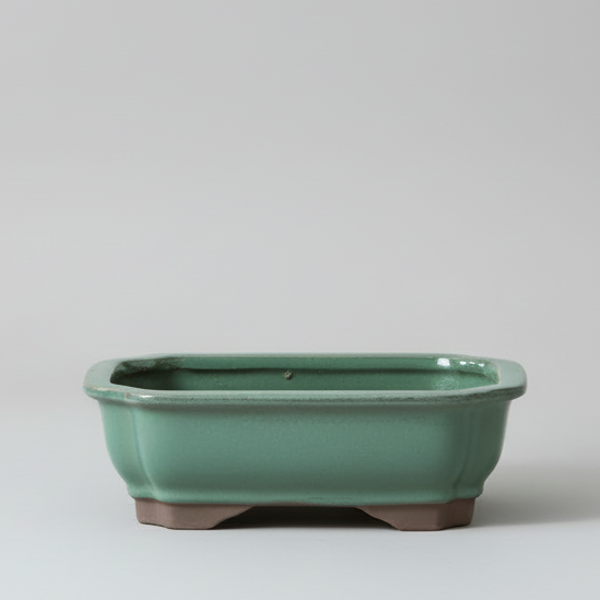 18cm Glazed Bonsai Pot | Rectangle | 18cm x 14cm x 4cm | Green