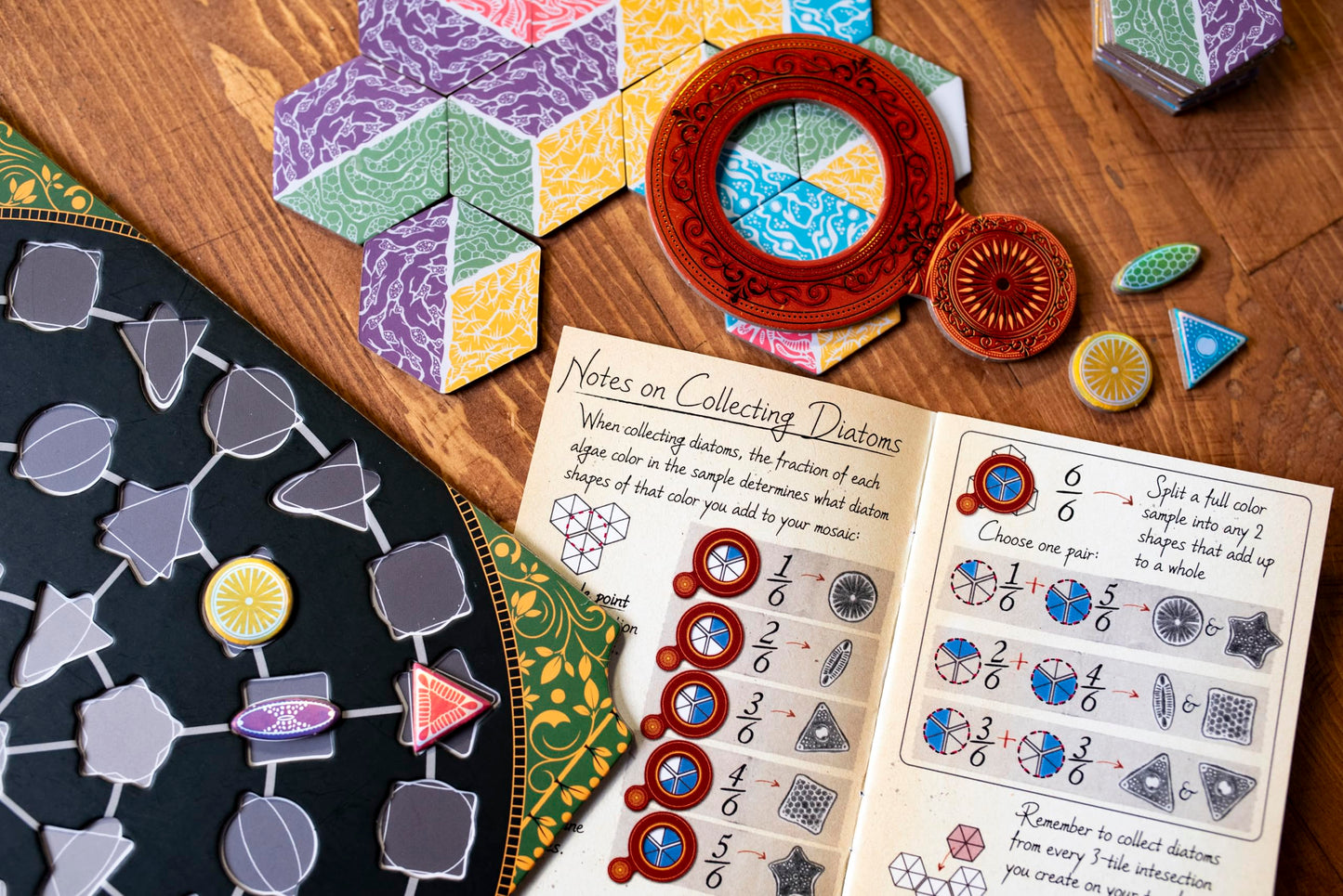 Diatoms Board Game by 25th Century Games – Artistic Tile-Placement Mosaic for 1–4 Players | Mensa Select