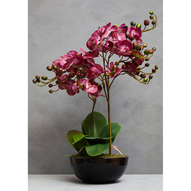 Fiori Purple Orchid Flowers in Black Pot