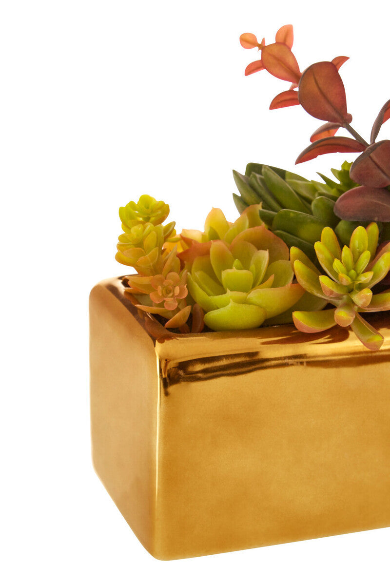 Fiori Mixed Succulents with Gold Ceramic Pot