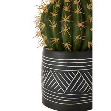 Fiori Cactus Succulent