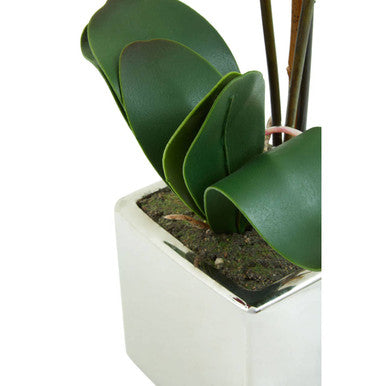 Fiori Purple Orchid in Silver Pot