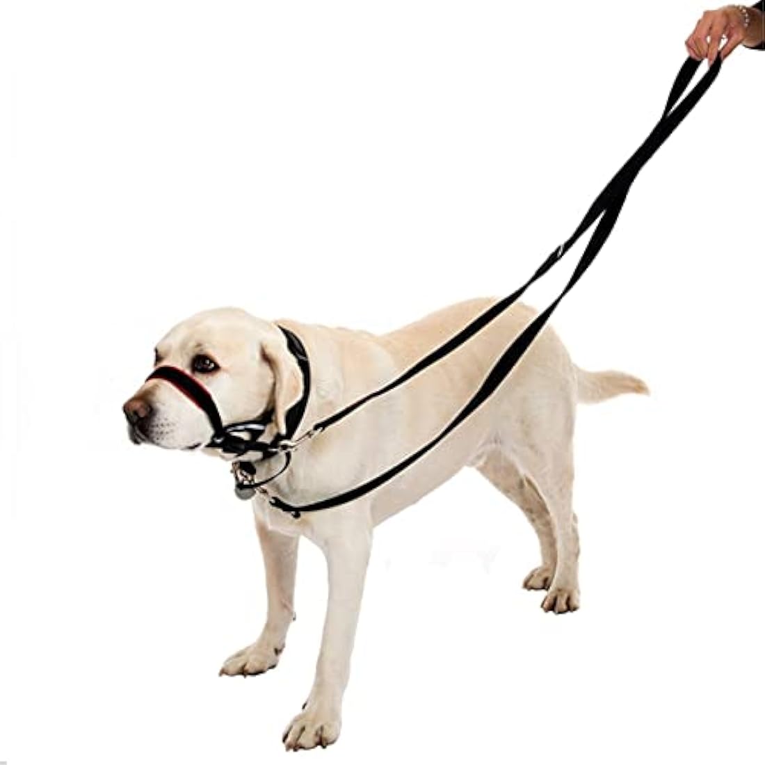 YankMooM Dog Training Lead Leash,6.9FT Double Ended Dog Lead for Training Walking Running Multi-Function Dog Lead Rope(Black)