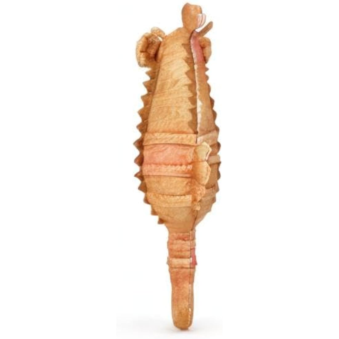Zappi Co Plush Children's Stuffed Soft Cuddly Plush Toy-Part of Safari Animals Collection, Perfect for Kids (15cm Height)(Seahorse)