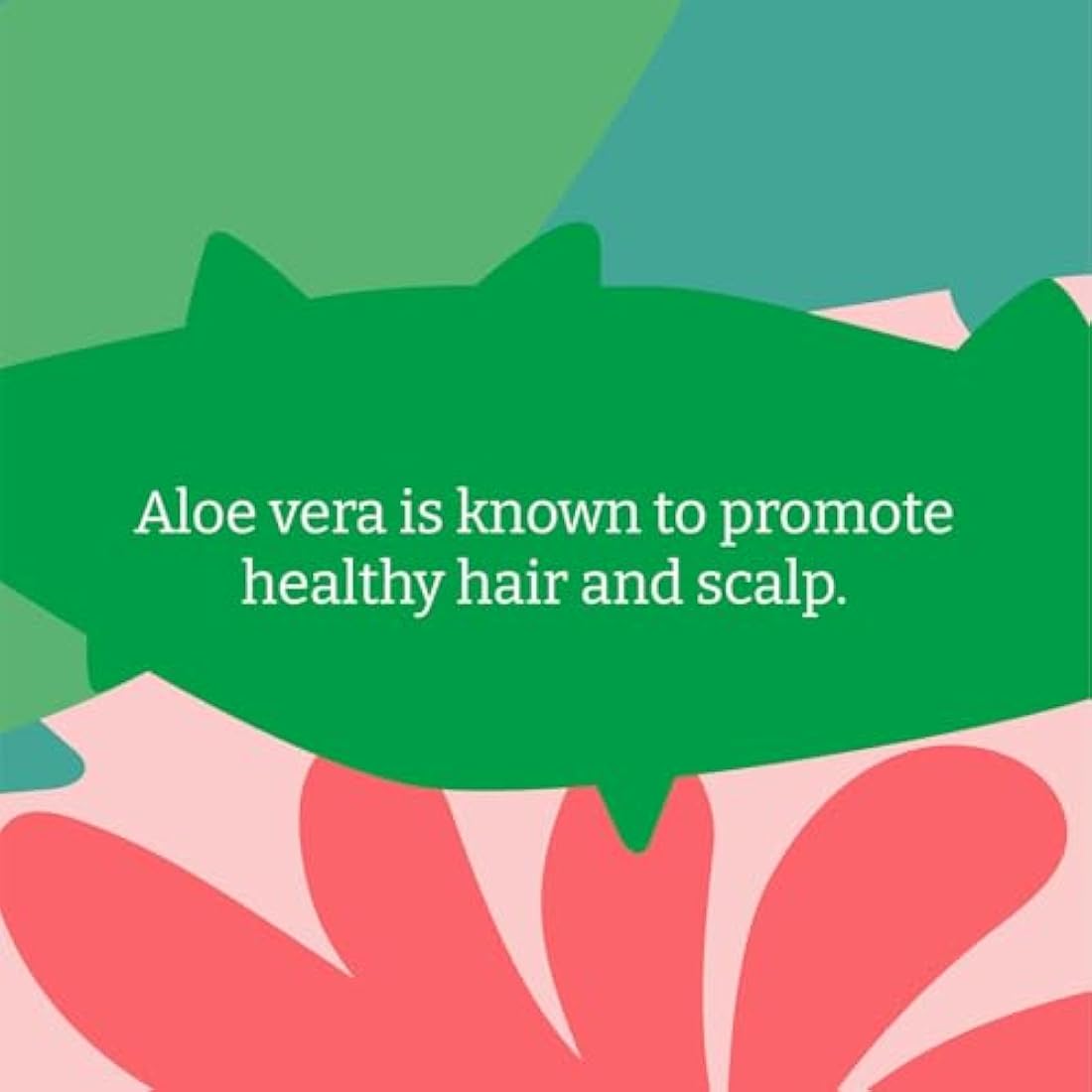 Faith In Nature Natural Aloe Vera Shampoo, Soothing for Normal Hair & Scalp, Vegan & Cruelty Free, No SLS, Silicones or Parabens, 5L Refill Pack