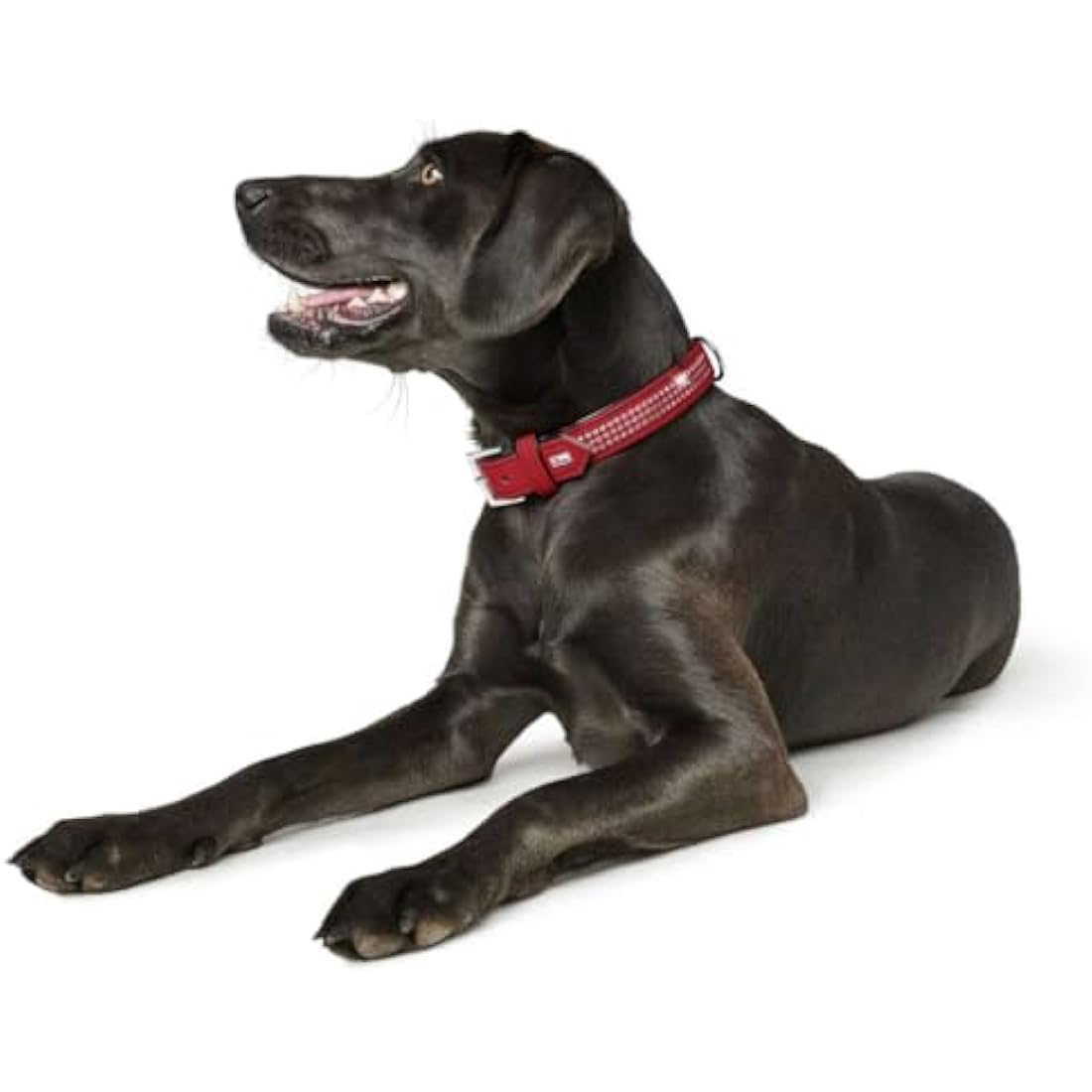 Hunter Softie Deluxe Collar, 55, Red