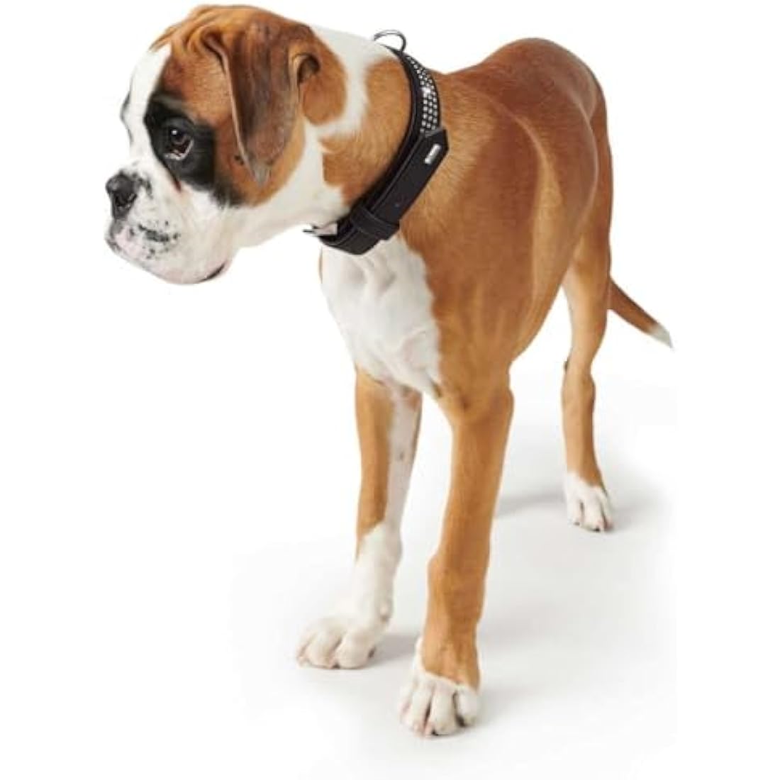 Hunter Softie Deluxe Collar, 50, Black