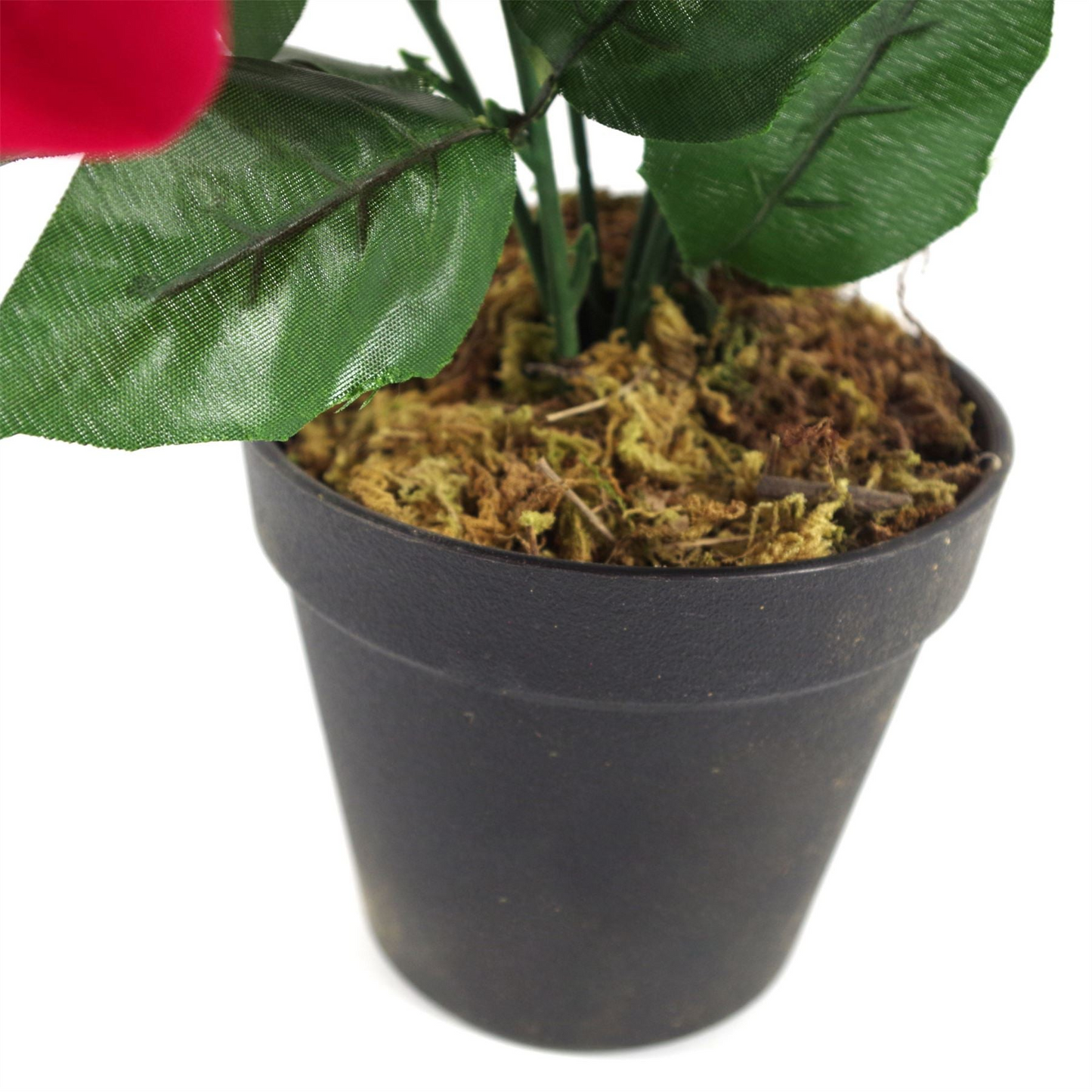 65597131