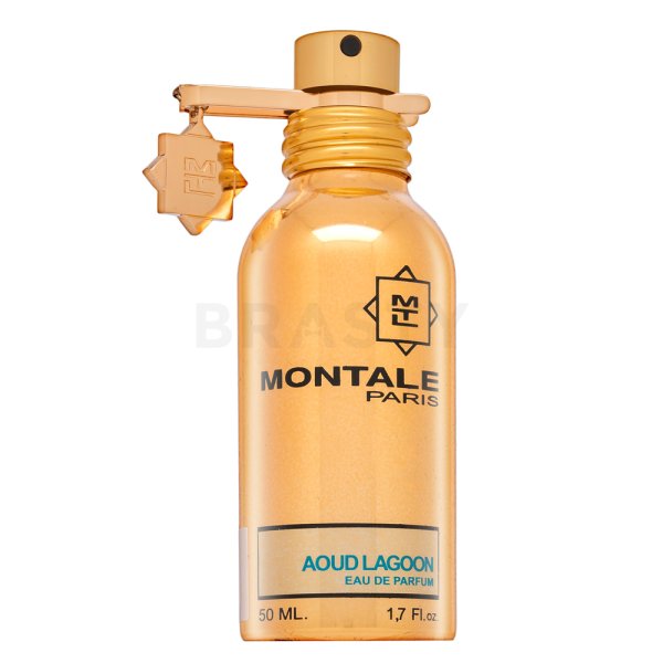 Montale Aoud Lagoon Eau de Parfum 50ml Spray