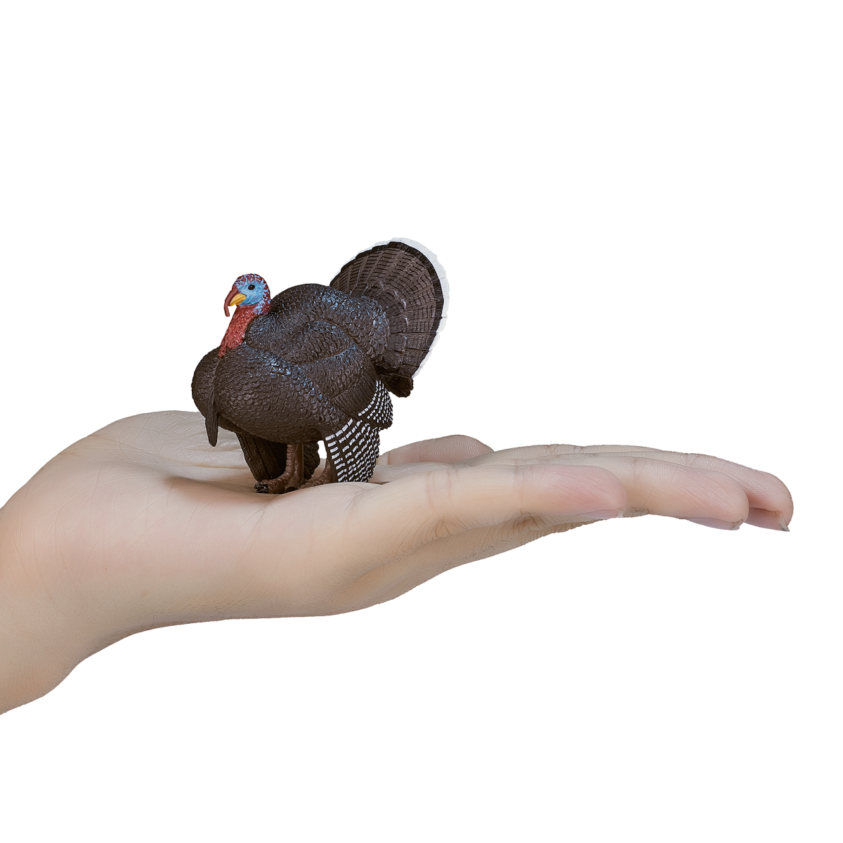Male Turkey Toy Figure Farmyard Animal Model