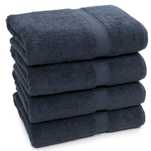 Nausha Pack of 4 Bath Towels 100% Egyptian Cotton Towels Set Super Soft and Highly Absorbent Towels 500 GSM (Grey)