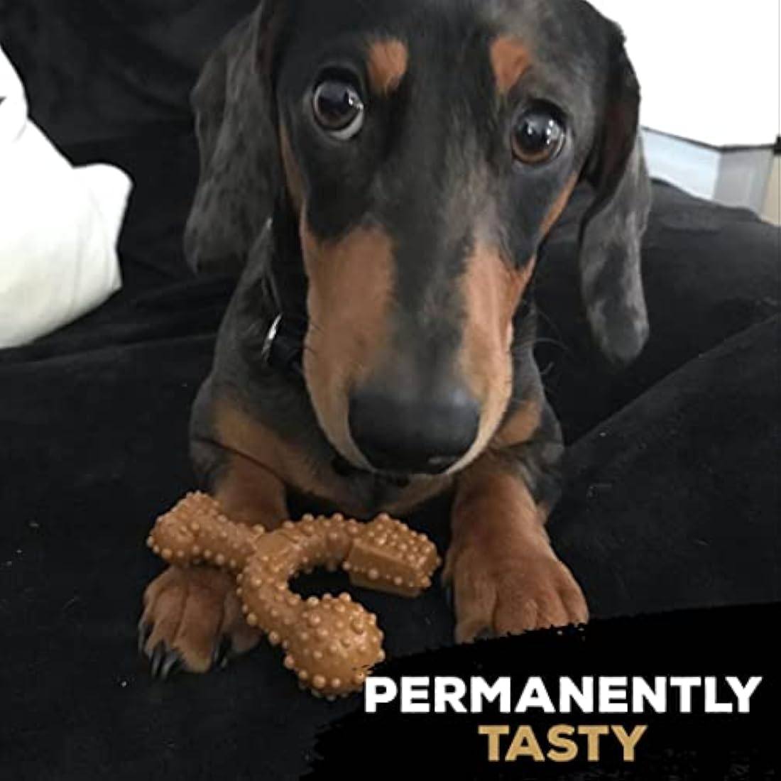 TastyBone TrioBone Nylon Dog Chew Toy for Toy Dogs (Beef) - Indestructible for Aggressive Chewers, Everlasting Flavour, Strong Healthy Teeth, Made in the UK