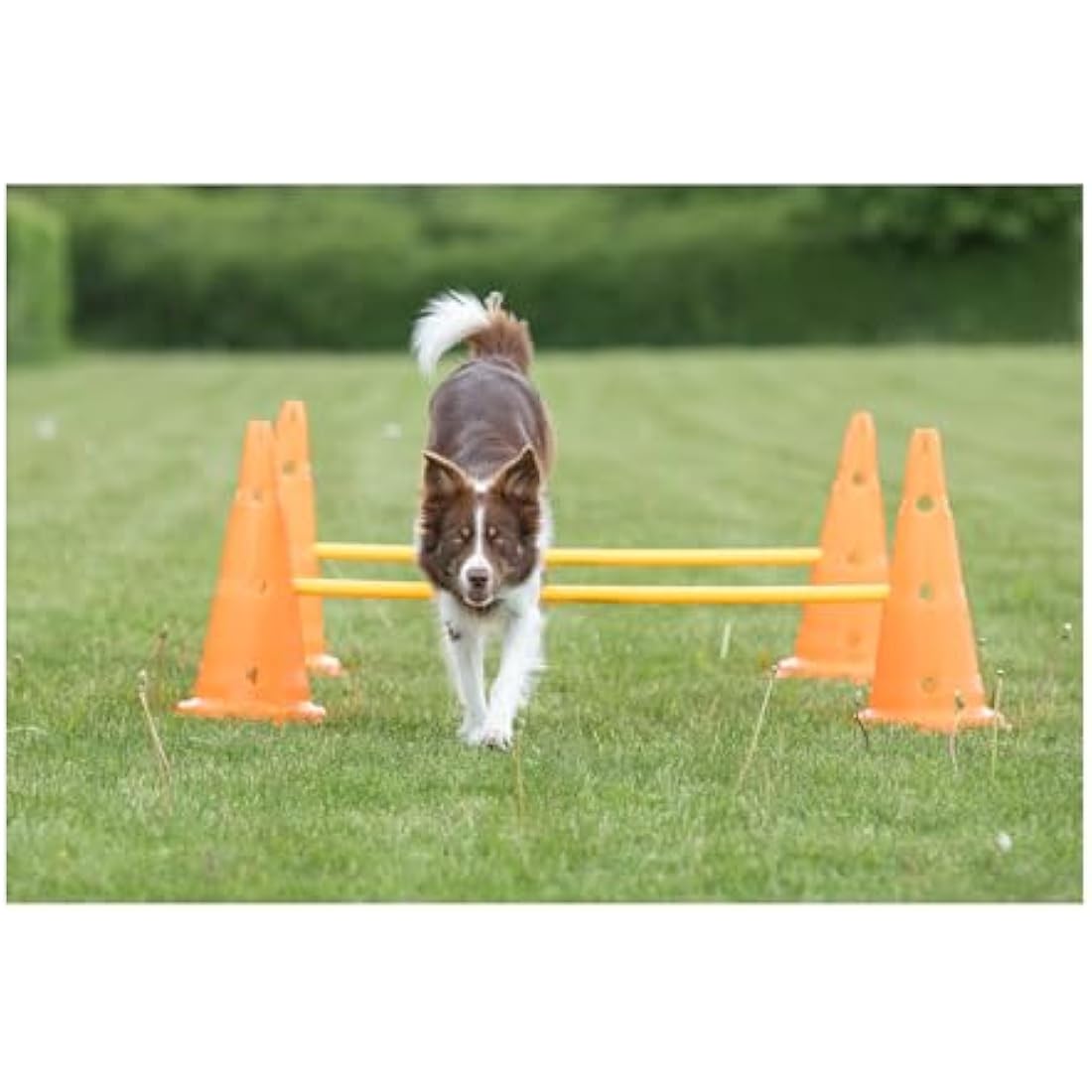 TRIXIE Pylon Obstacle Set – 6 pylons – 3 poles – variable height adjustment: 6 cm / 13.5 cm / 20 cm – orange/yellow – 32091