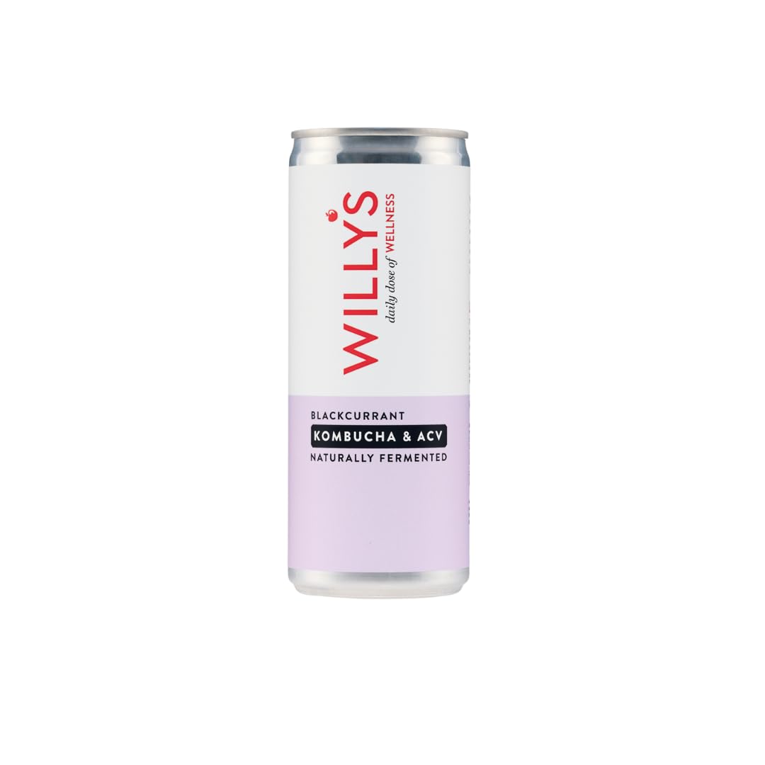 WILLY'S Blackcurrant Kombucha & Apple Cider Vinegar - Probiotics For Detox & Gut Health - Vegan & Gluten Free - 12 x 250ml Cans - Sustainable ACV