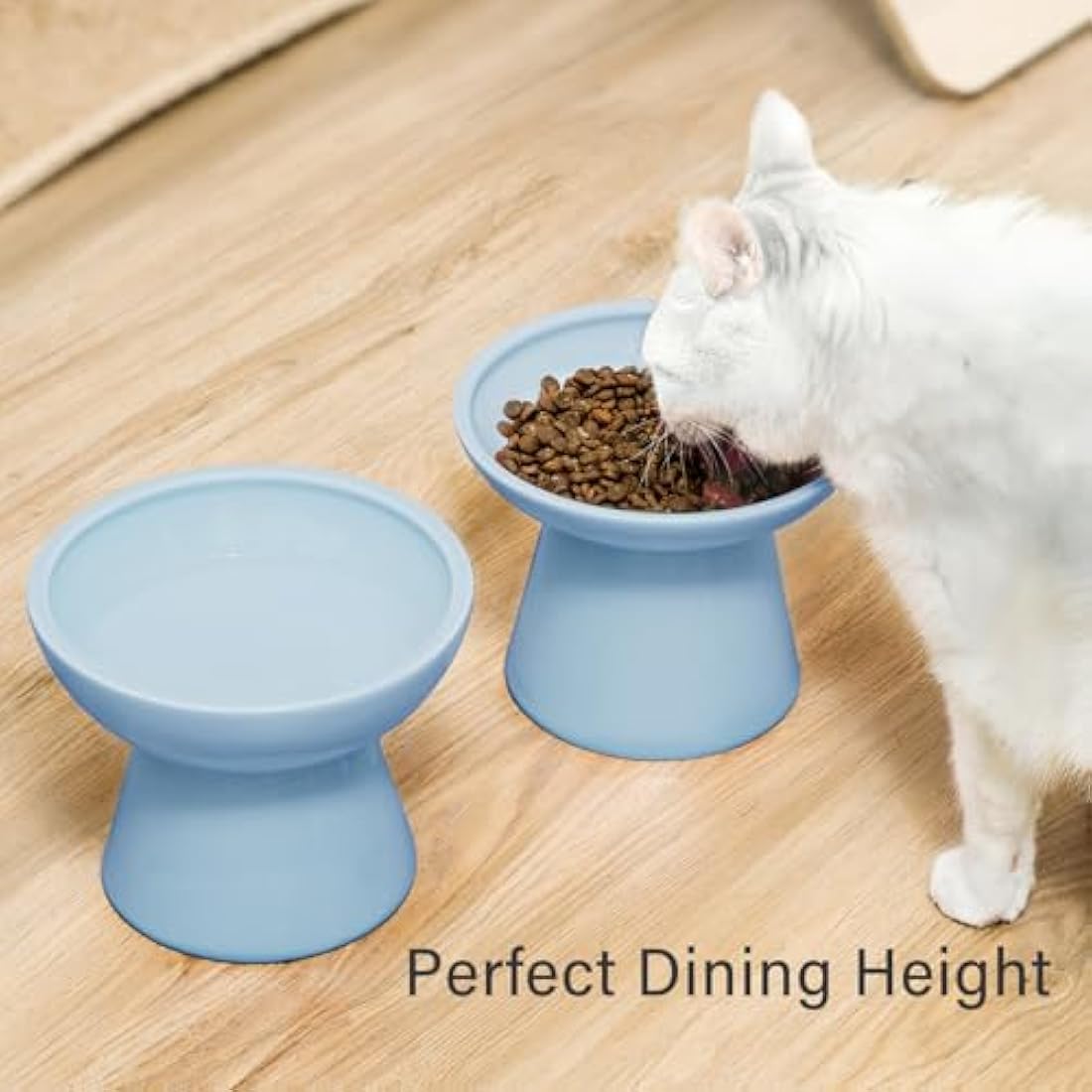 CEEFU 2 Extra Wide Elevated Cat Food Bowl, Ceramic Cat Bowls for Food and Water, Wide Shallow Cat Food Dish, Whisker Fatigue, Lead & Cadmium Free, Great Height for Cat, Blue