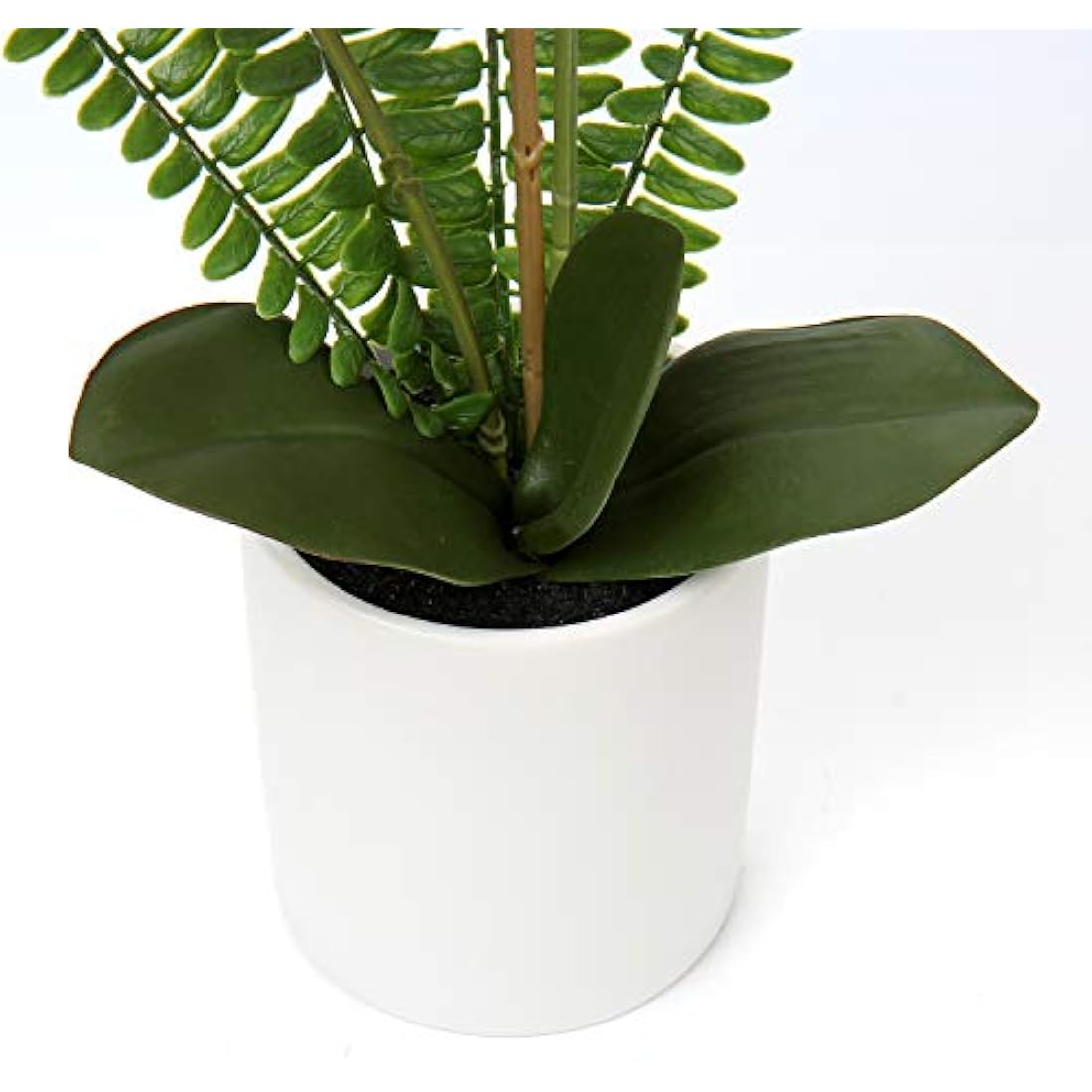 Briful White Orchid Artificial Flowers in Ceramic Pot Fake Orchid White Silk Phalaenopsis Flower Arrangement Artificial Orchid Plant Indoor for Home Office Kitchen Bedroom Wedding Decor
