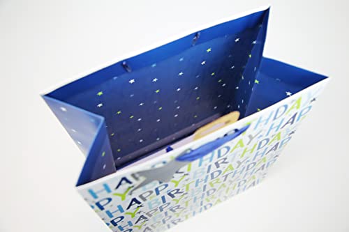 Eurowrap Gift Bag, Paper, Multi, Large