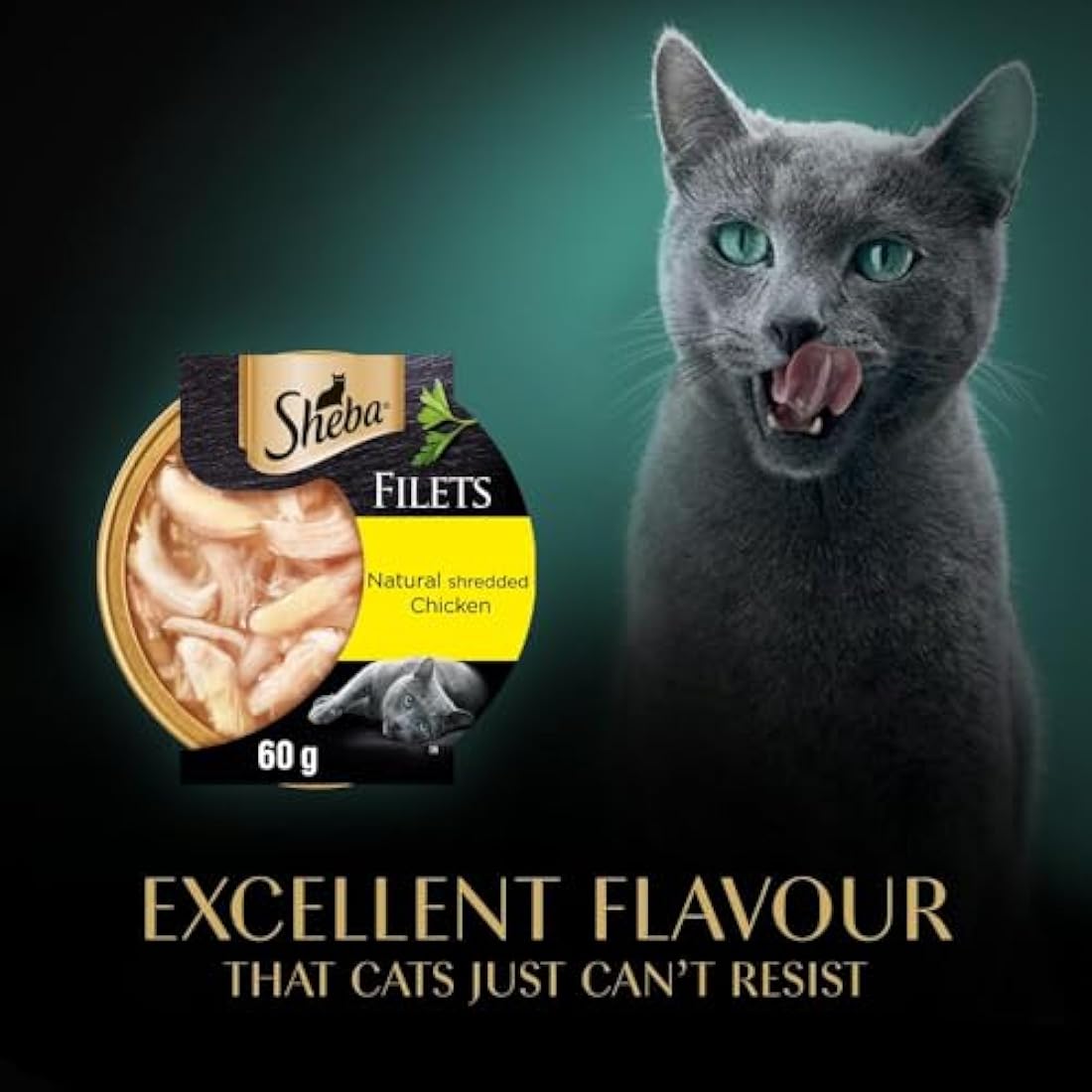Sheba Fillets Cat Food Tray with Chicken in Gravy 2x16x60g