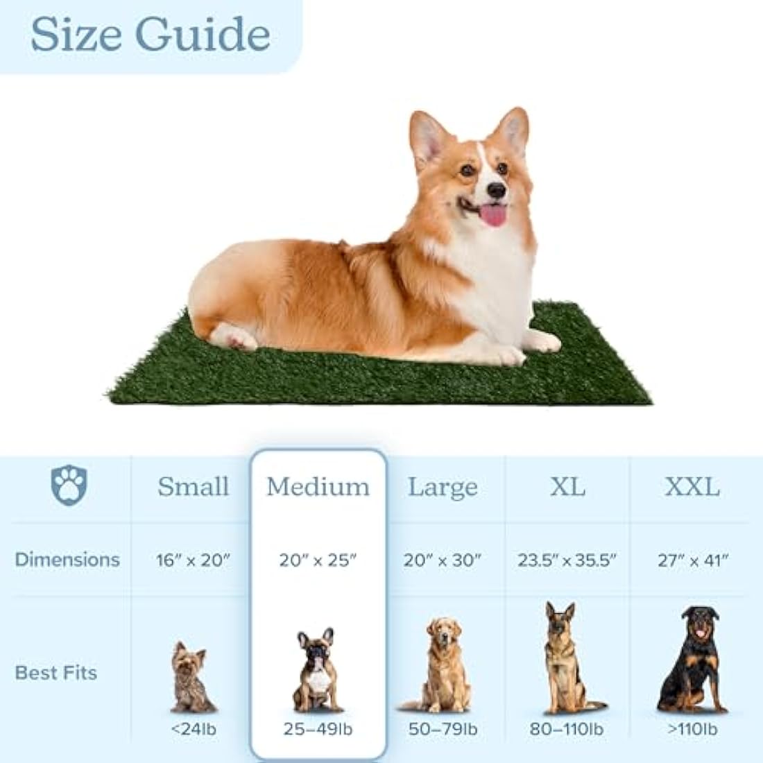 Artificial Grass Puppy Pee Pad for Dogs and Small Pets - 20x25 Reusable 3-Layer Training Potty Pad with Tray - Dog Housebreaking Supplies by PETMAKER,Green