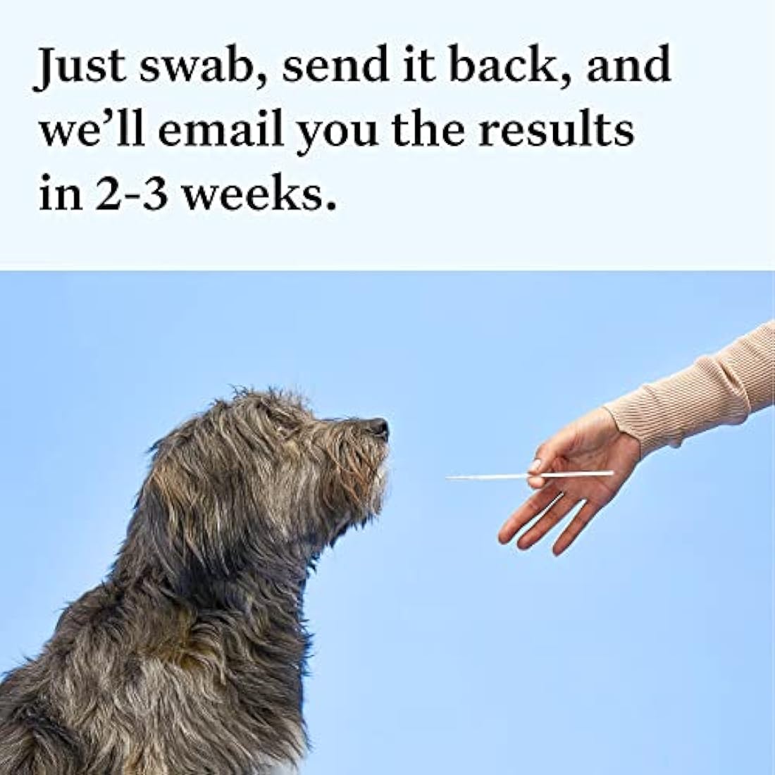 Wisdom Panel Essential: Most Accurate Dog DNA Test Kit for Breed ID and Ancestry | 25+ Genetic Health Conditions | Traits | Relatives,white,75 g (Pack of 1)