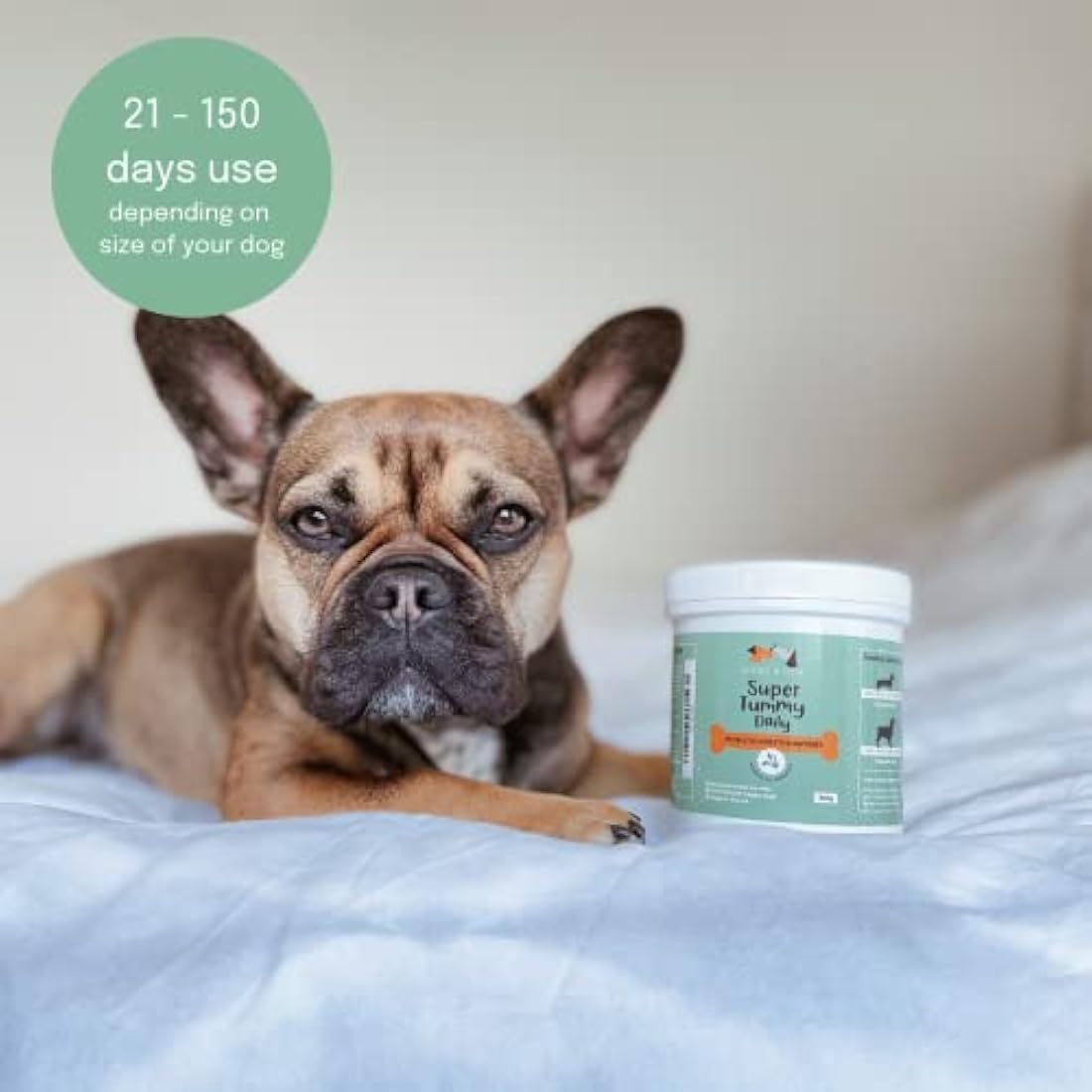 Buddy & Lola Probiotics For Dogs - 300g Powder, Simple To Add To Food - Complete Daily Digestive Support With Probiotics & Prebiotics For Happy Healthy Dogs