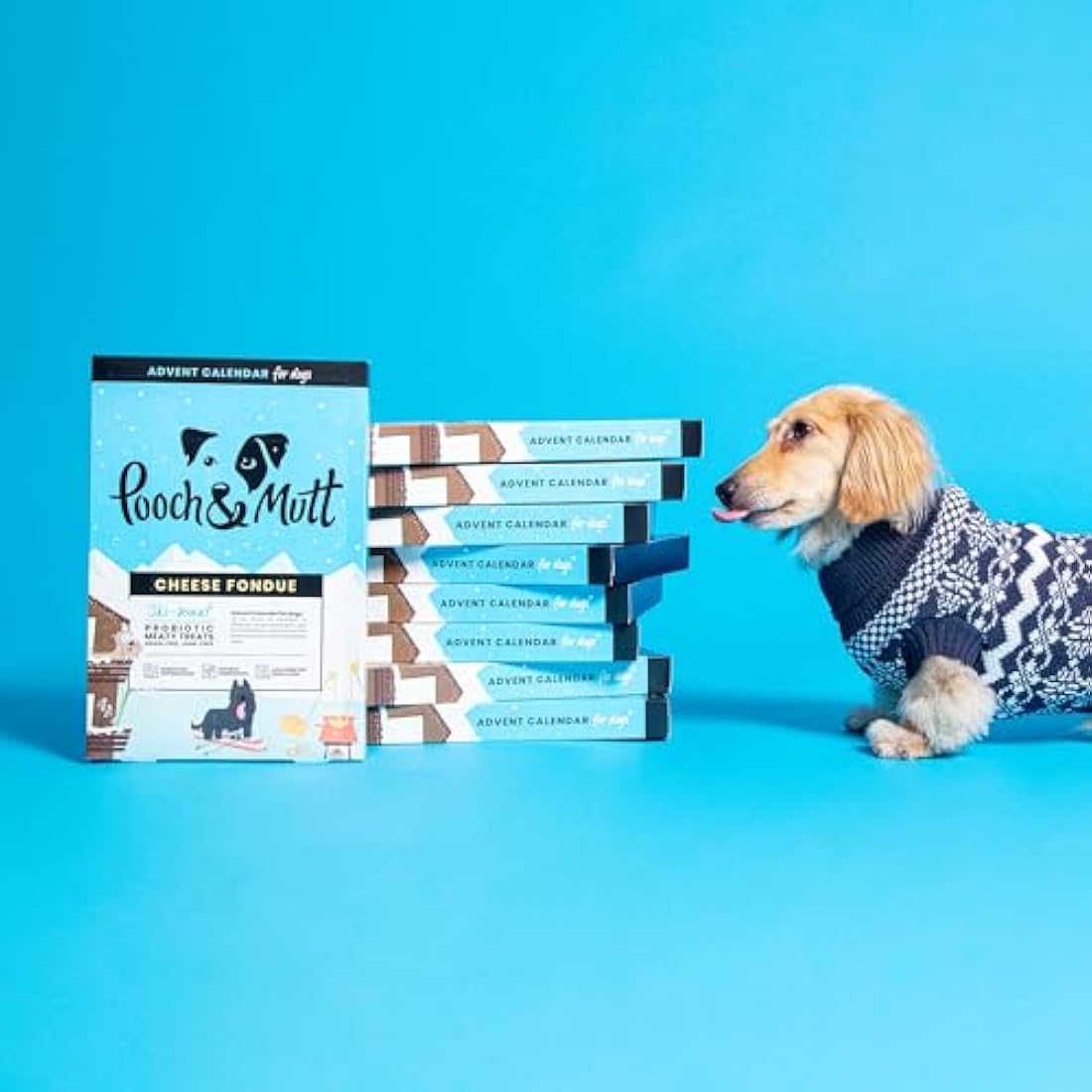 Pooch & Mutt - Christmas Advent Calendar for Dogs, with Natural Ingredients and Low Calories Christmas Calendar