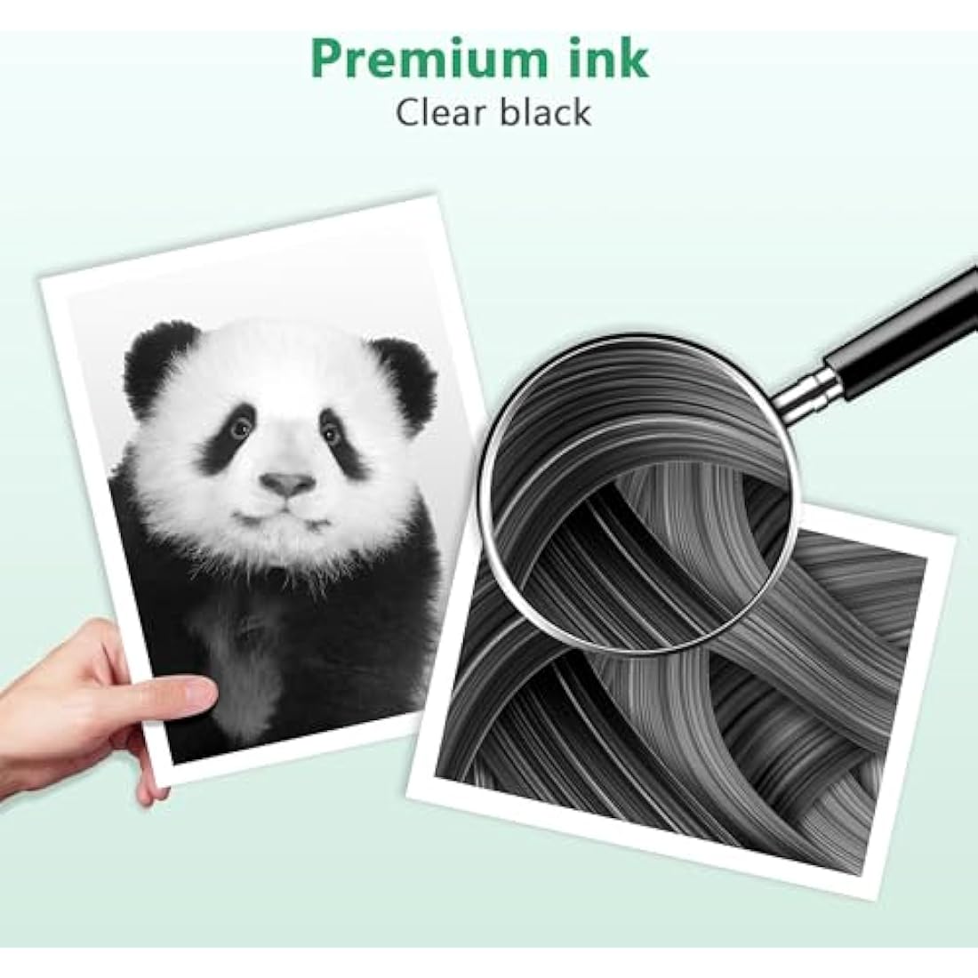 LIFOR PG-560 XL 560XL Black Ink Cartridges High Yield Replacement for Canon 560 Ink Cartridge PG560 XL PG-560XL for Pixma TS5350 TS7451 TS7450 TS5351 TS5350a TS5351 TS5352 (2 Black,2-Pack)