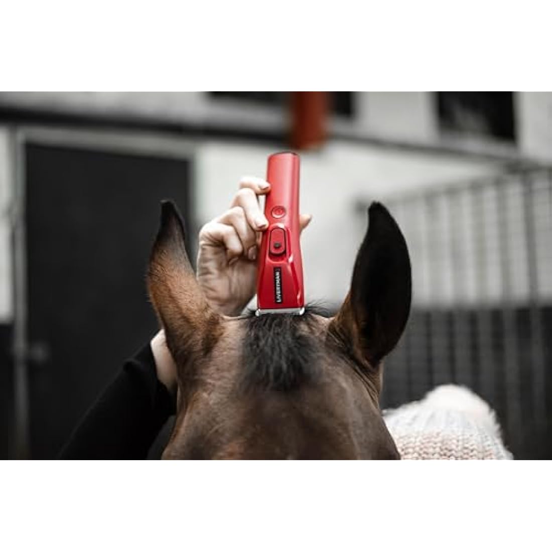 Liveryman Nova Horse Trimmer