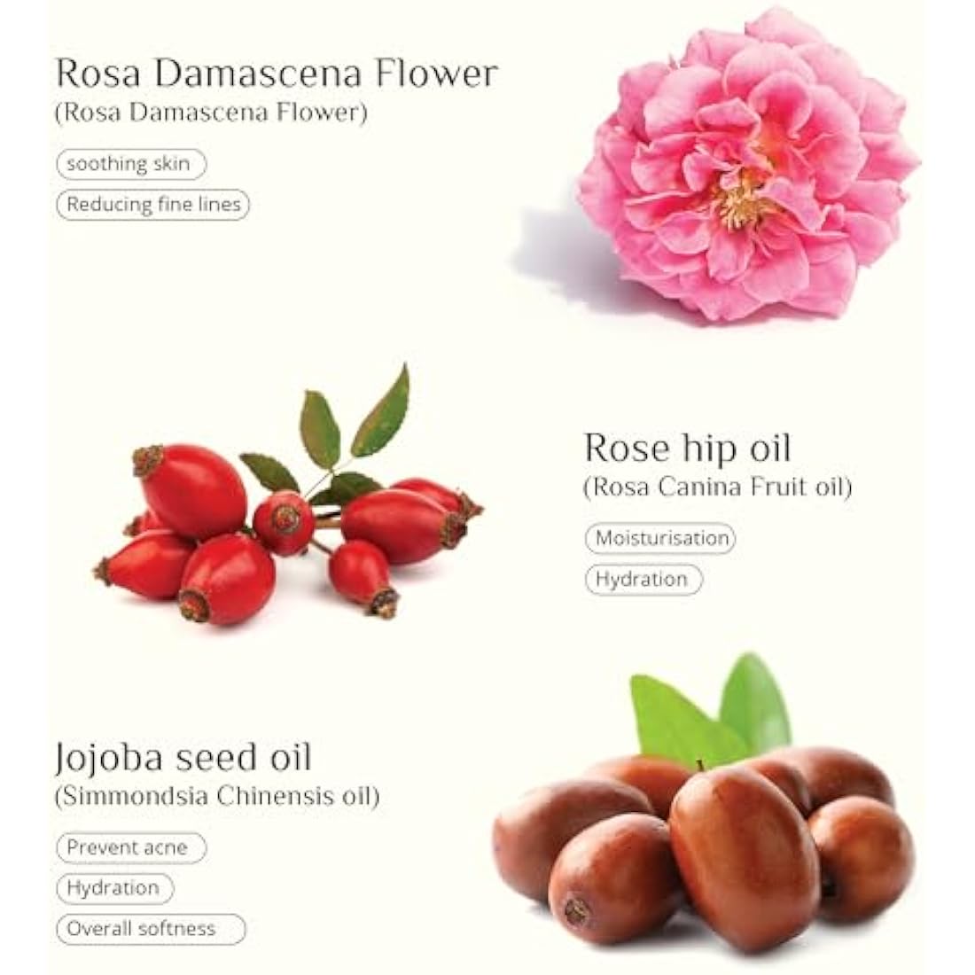 SEAWEED ORGANICS - Seaweed Skinfood face cream, Luxurious Hydration with Natural Seaweed Extract, Organic rosehip, Vitamin E, Nourishing Day Cream, All Skin Types, 60g, DIANA DRUMMOND