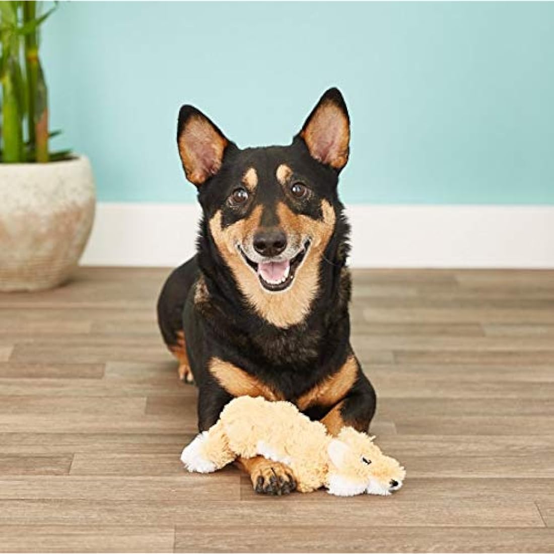 KONG - Scrunch Knots Fox - Internal Knotted Ropes and Minimal Stuffing for Less Mess - For Small/Medium Dogs