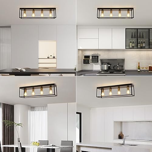 Black Ceiling Lights 4 Lights, Modern Industrial Ceiling Light E27 Flush Mount, LED Metal Cage Ceiling Light Fixture for Bedroom Living Room Kitchen Hallway Studio max.60W - NO Bulb