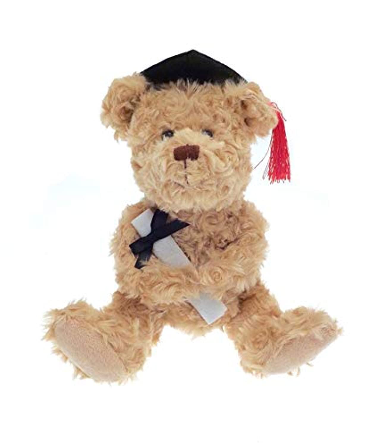Graduation Bear