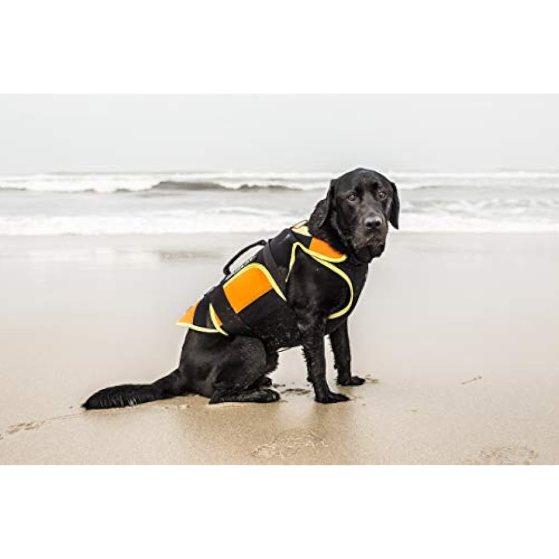 JULIUS-K9 IDC Multifunctional 3in1 Dog Vest, Size: L, Black and UV Orange