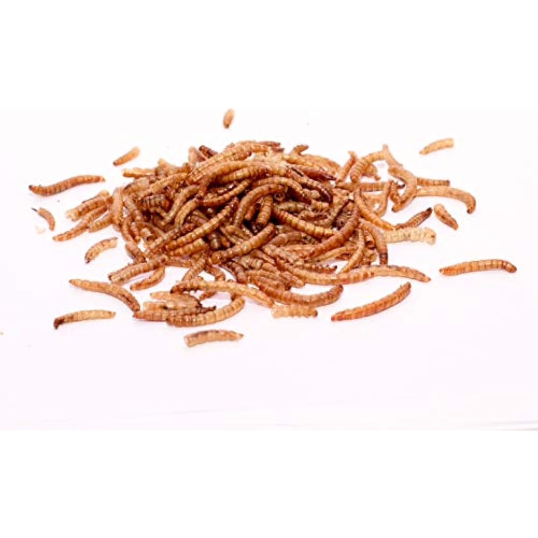 Superpet Dried Mealworms for Wild Birds – High-Protein, Nutritious Treats for Robins, Sparrows, Tits & More (5kg)