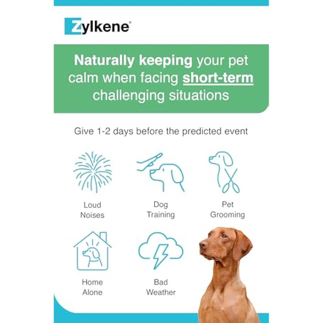 Zylkene Calming Supplements for Medium Dogs (10 to 30kg) 225mg | Promotes Relaxation | Helps Pets cope with short-term challenging situations: Loud Noises | Easily administered | 20 capsules