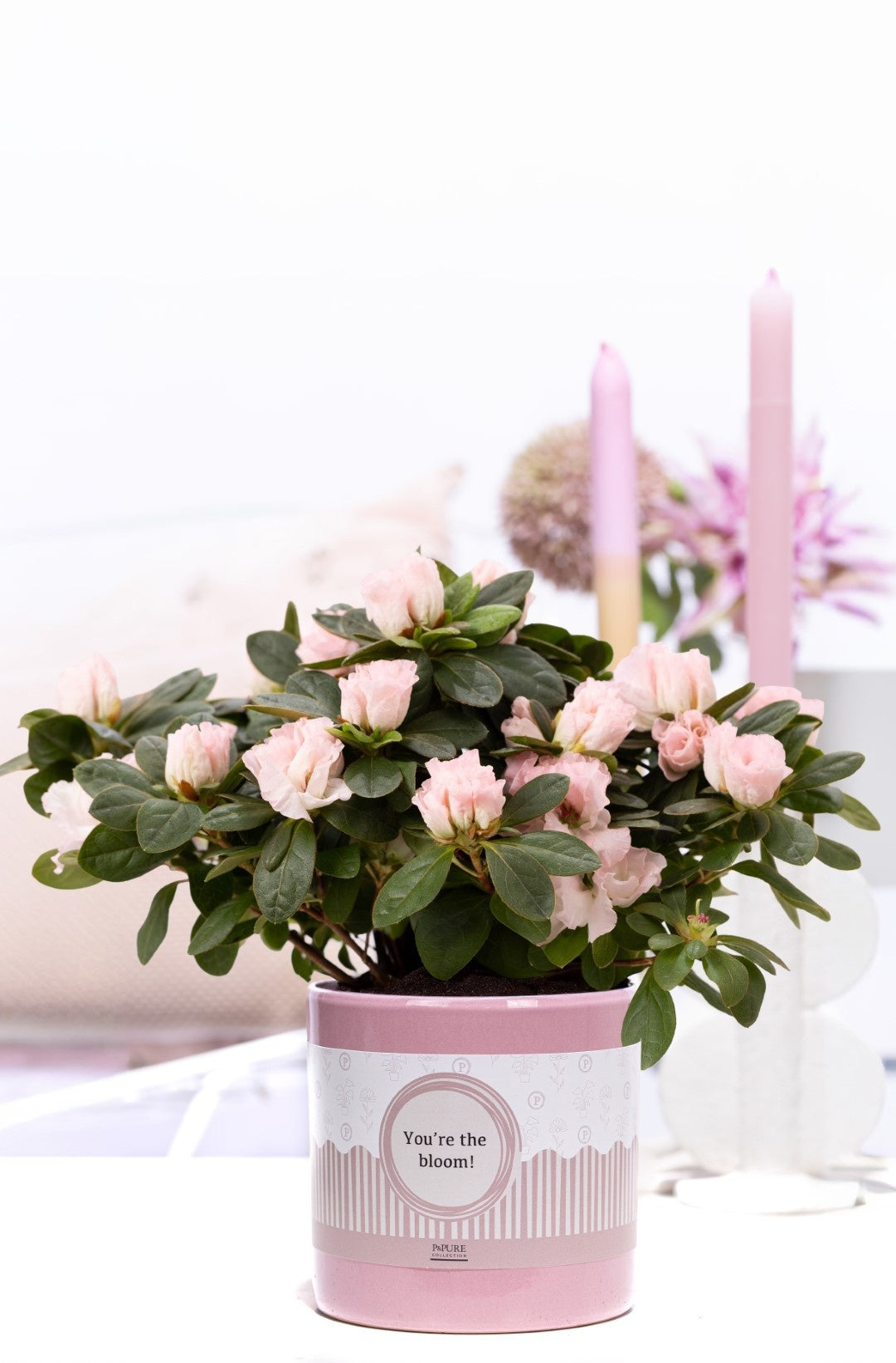 Rhodo Si Terra Nova Keramiek You're The Bloom
