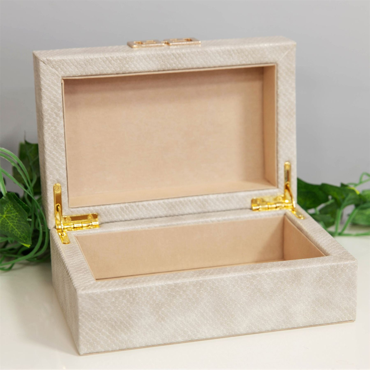 Snake Skin Jewellery Box - Small