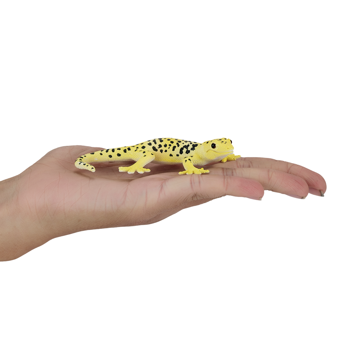 Leopard Gecko Toy Realistic Reptile Model