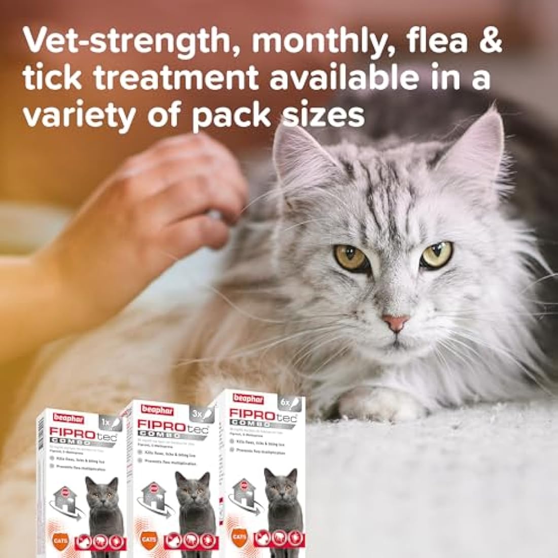 Beaphar - FIPROtec® COMBO for Cats – 3 pipettes - Kills Fleas, Flea Eggs, Flea Larvae & Ticks - Stops Fleas Multiplying on Pet and in Home - Vet Strength Cat Flea Treatment