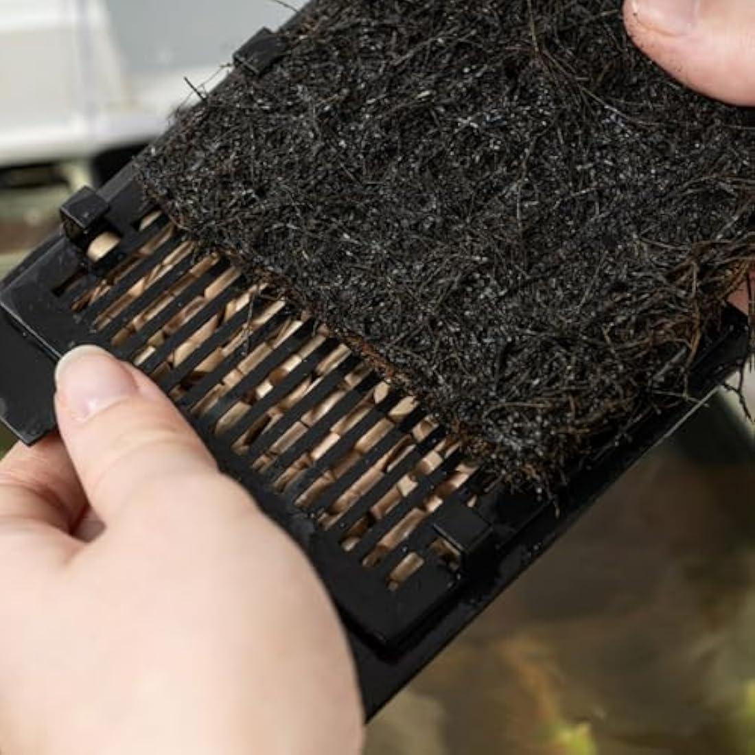 Interpet 3 Month Service Pack for the Interpet Internal Cartridge Filter CF 2 (3 x Front Coir Tech Cartridge, 3 x Back Coir Tech Cartridge)