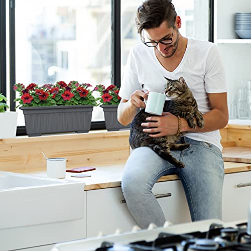 Relaxdays Set of 4 Planters, Indoor & Outdoor, Square Flower Pot, Narrow, HxWxD: 14 x 34 x 18.5 cm, Plastic, Anthracite