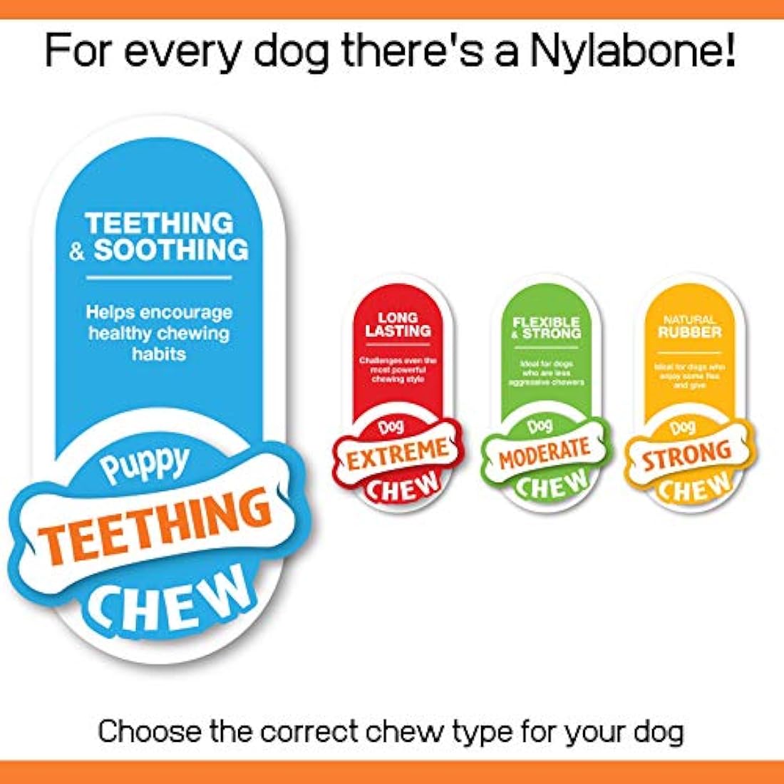 Nylabone Gentle Puppy Teething Dental Chew Toy Bone with Nubs & Ridges, Chicken Flavour, Pink, XS, for Puppies Up to 7 kg