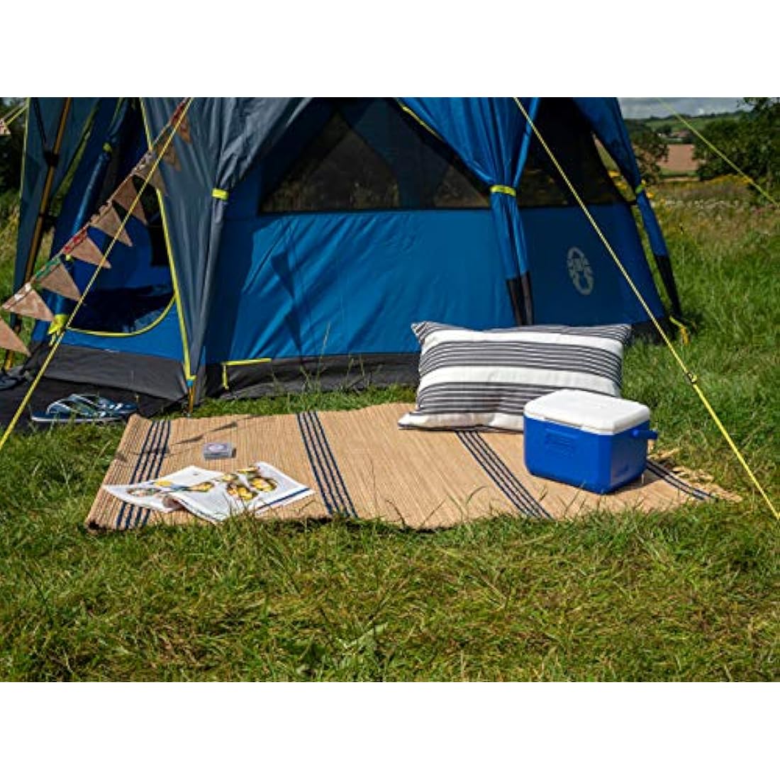 Coleman Performance 6 Personal Kühlbox, passive kleine Thermobox für Essen und Getränke, Eisbox mit Griff, Kühlleistung bis zu 9 Stunden