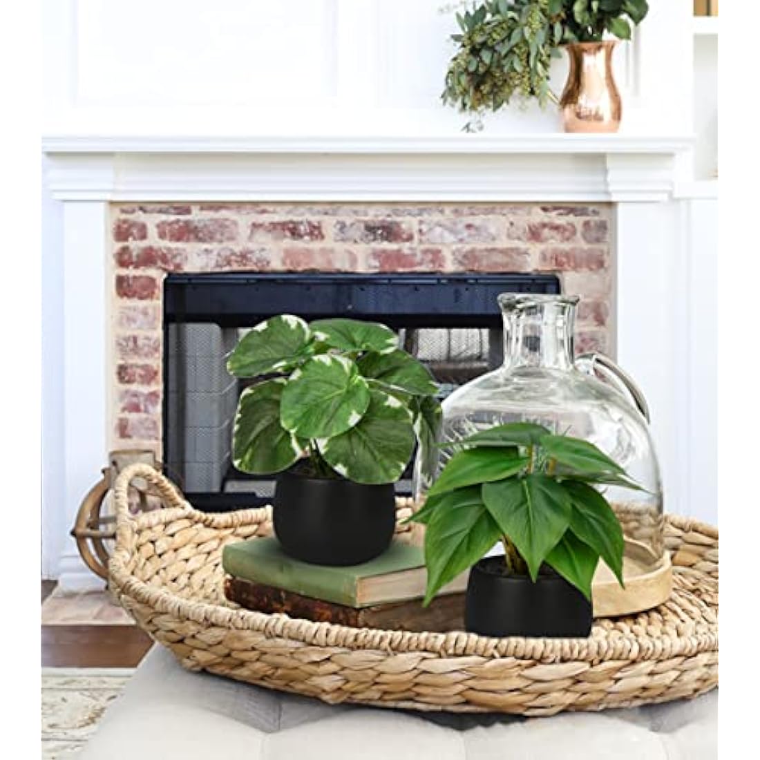 Briful Set of 3 Small Fake Plants in Ceramic Pot, Monstera Faux Potted Plants, Pilea Artificial Plants Scindapsus Aureus Plants Artificial for Home Kitchen Bathroom Decor